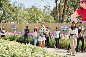 BIB: 
                            <button type="button" onclick="openModal(27798540)" class="btn btn-primary btn-sm float-right btn-popup" data-toggle="modal" data-target=".modal-high-quality">
                        <i class="fas fa-shopping-cart"></i> Add to Cart
                    </button>
                                            <button type="button" onclick="isThisMe(27798540, true)" class="btn btn-success btn-sm float-right btn-popup btn-isme hidden" data-toggle="tooltip" data-placement="bottom" title="นี่คือรูปของคุณใช่ไหม คลิกที่นี่เพื่อเอาเข้าอัลบั้ม">
                        <i class="fas fa-plus"></i> Add to album
                    </button>
                    <button type="button" onclick="isThisMe(27798540, false)" class="btn btn-warning btn-sm float-right btn-popup btn-isnotme hidden">
                        <i class="fas fa-ban"></i> Remove from album
                    </button>